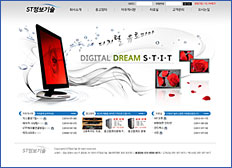ST정보기술
